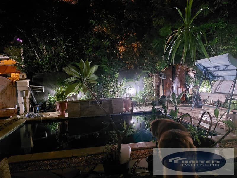 5 WhatsApp Image 2026-01-03 at 6.58. 05 AM. jpeg