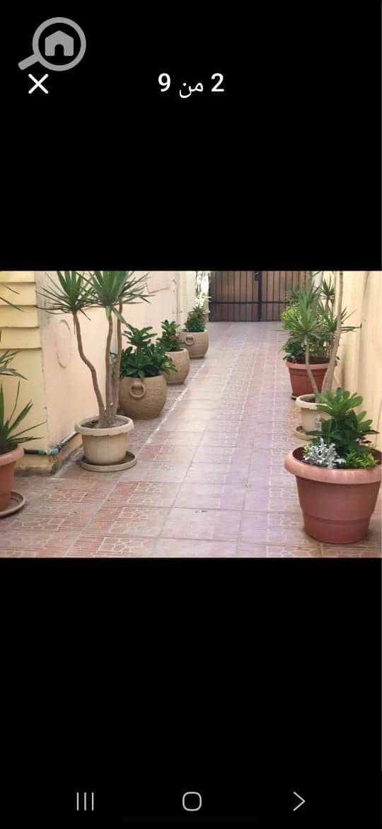 8 28dbe5b9-c100-42ae-8edf-5bd7bd7b464e. jpg