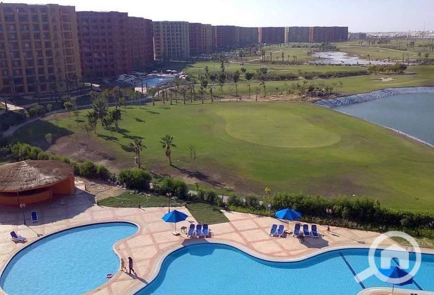 4 IMG-20231126-WA0018. jpg