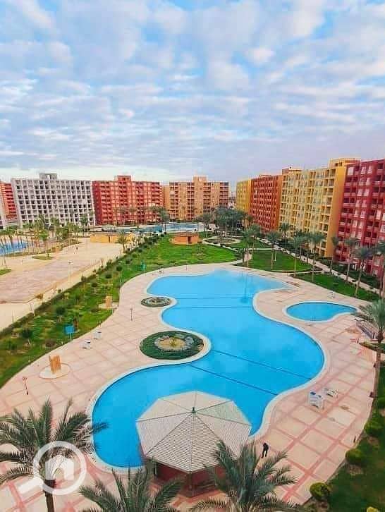 6 WhatsApp Image 2023-11-26 at 14.49. 48_6c35261f. jpg