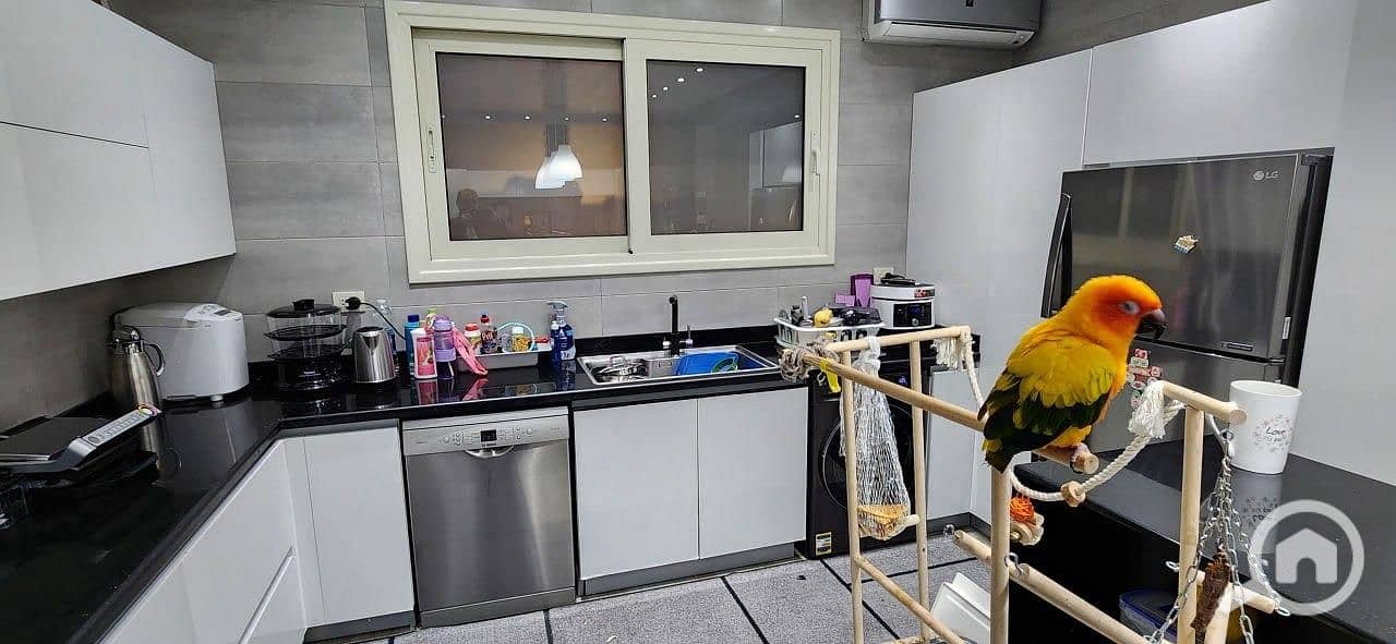 18 WhatsApp Image 2026-01-03 at 12.49. 24 PM (3). jpeg