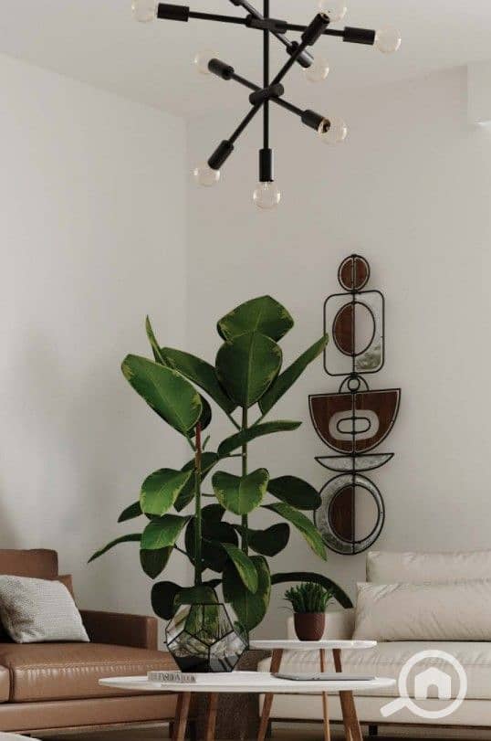 2 Screenshot 2026-01-03 172548. jpg