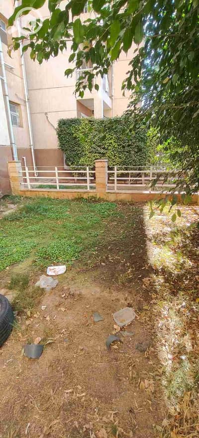 1 Bedroom Apartment for Rent in Madinaty, Cairo - 1000537270. jpg