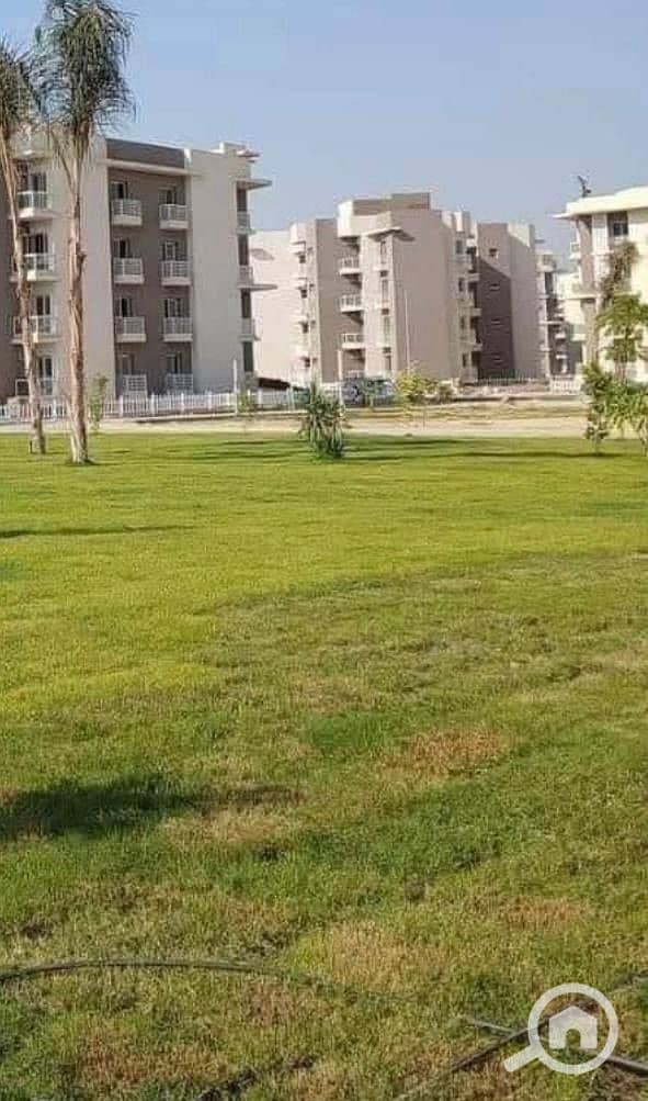 7 d0a34422-8c69-48f2-a213-425ddaaa79f4. jpeg