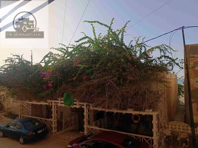 شقة 3 غرف نوم للايجار في عجمي، الإسكندرية - 22406. jpg