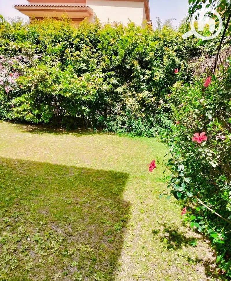 5 WhatsApp Image 2026-01-03 at 2.55. 49 PM. jpeg