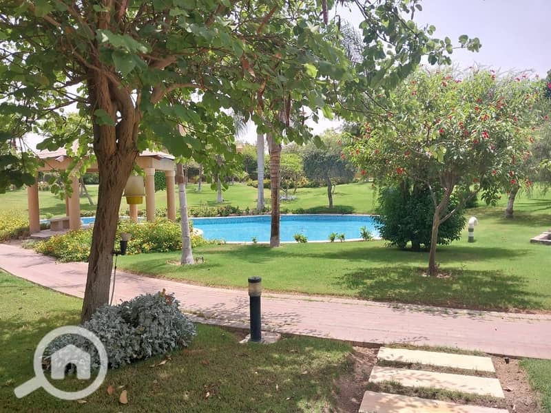 4 e15a84f8-abdb-4341-bff8-6ad12f3cea44. jpeg