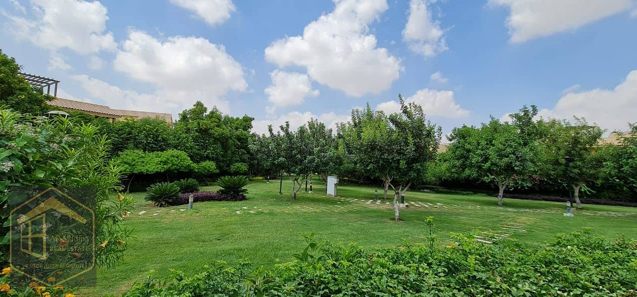 WhatsApp Image 2026-01-03 at 13.00. 40. jpeg WhatsApp Image 2026-01-03 at 13.00. 40. jpeg