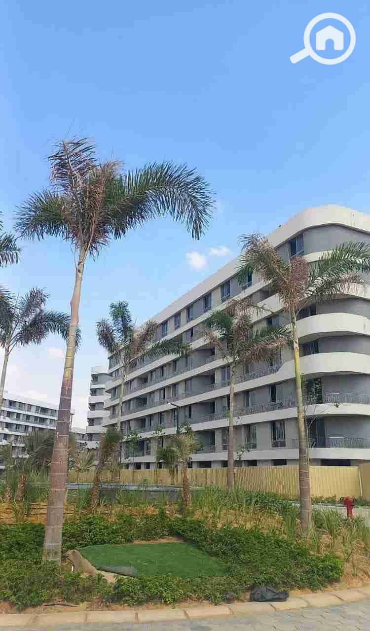 13 IMG-20251116-WA0025. jpg