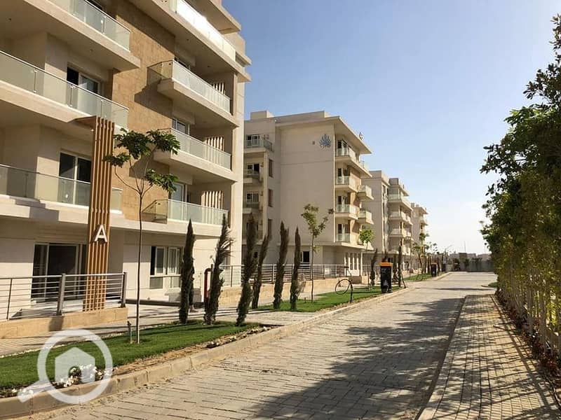 4 IMG-20251008-WA0046. jpg