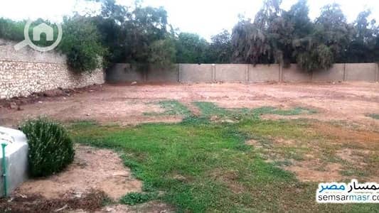 Residential Land for Sale in Tanta, Gharbia - ارض المنصوريه. jpg
