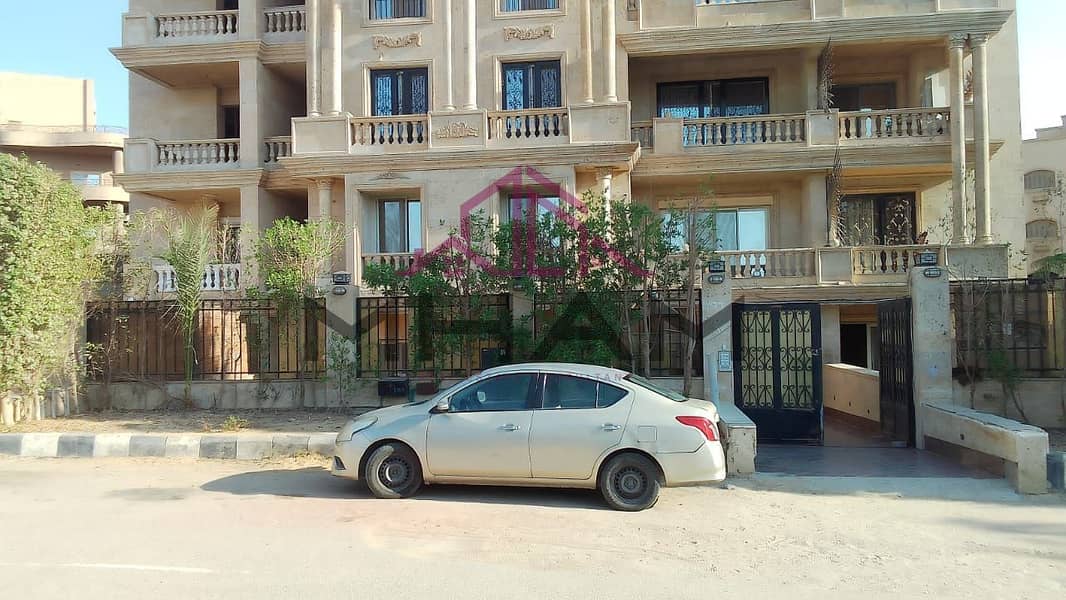 2 photo_5960686700545641424_y. jpg