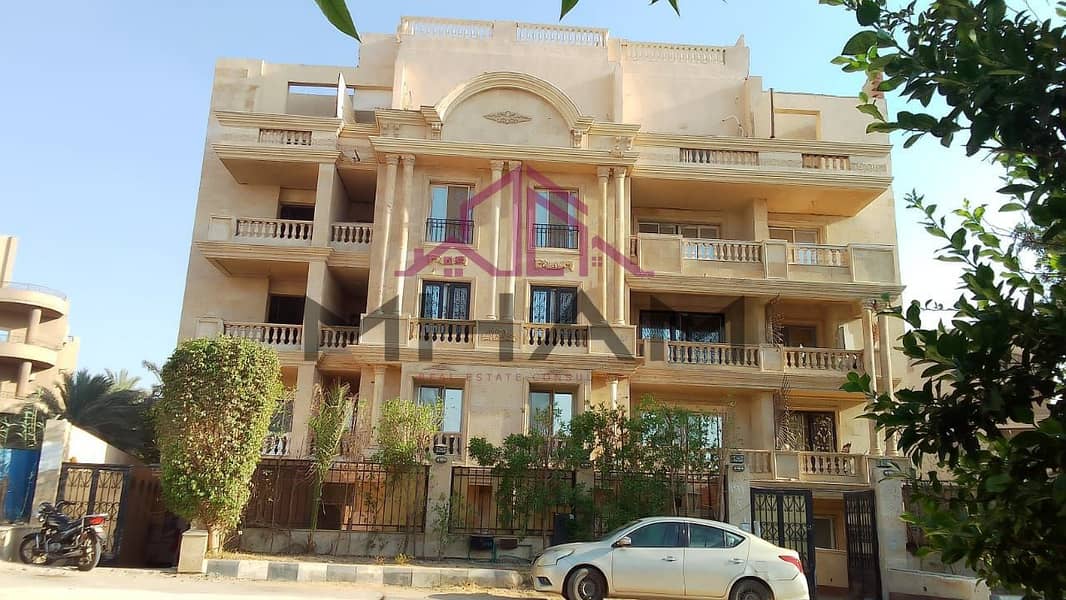 3 photo_5960686700545641423_y. jpg