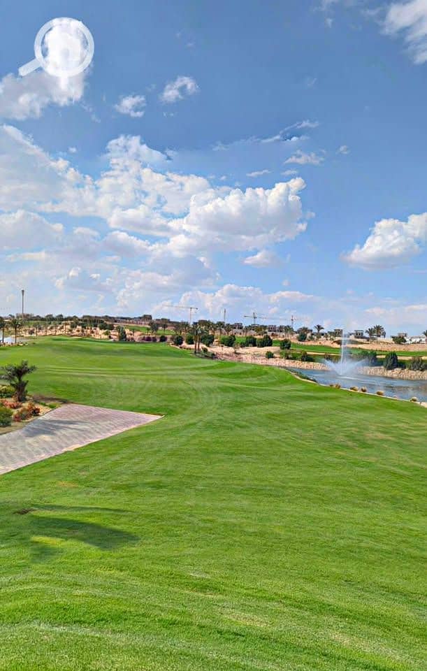 11 546480706_24244122811950861_989691911049476558_n. jpg