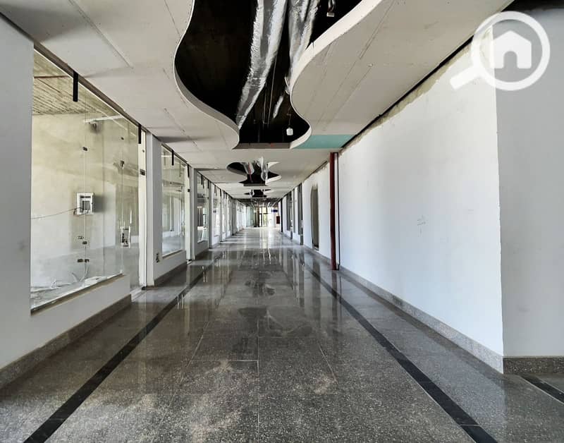 3 WhatsApp Image 2026-01-01 at 3.54. 47 PM (1). jpeg