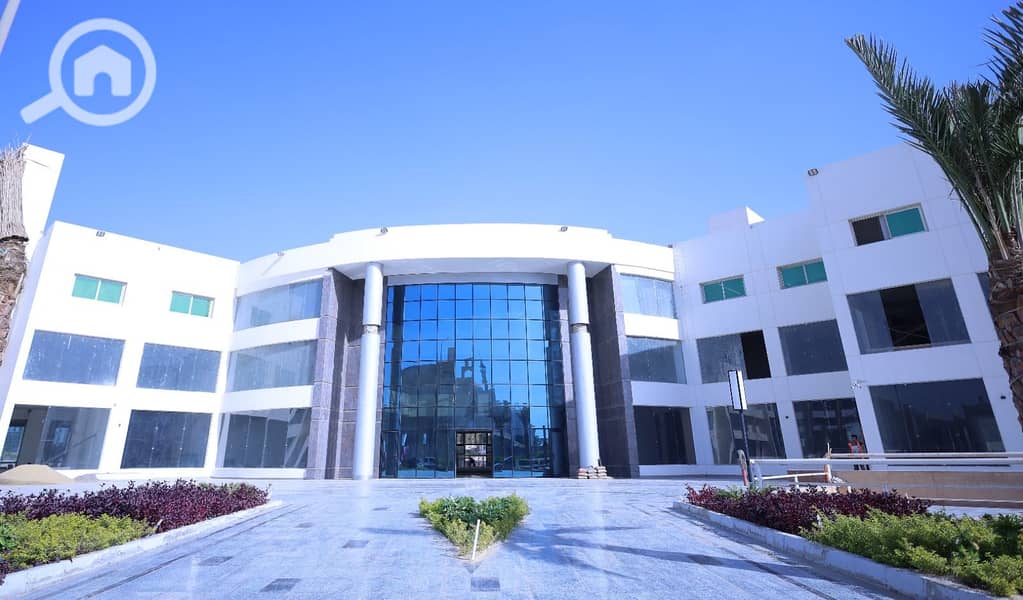 6 WhatsApp Image 2026-01-01 at 3.58. 54 PM. jpeg