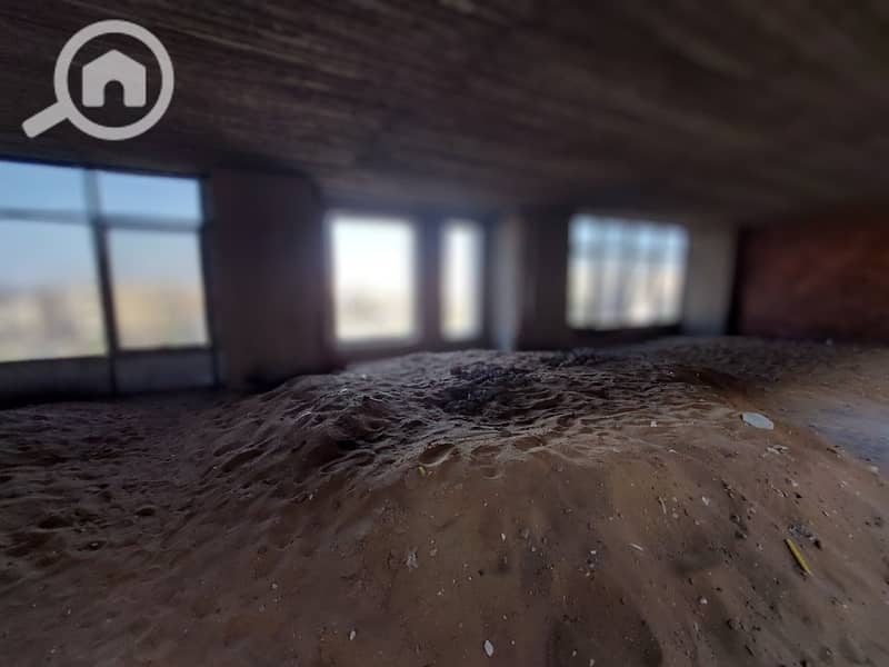 3 photo_2026-01-03_23-06-25. jpg