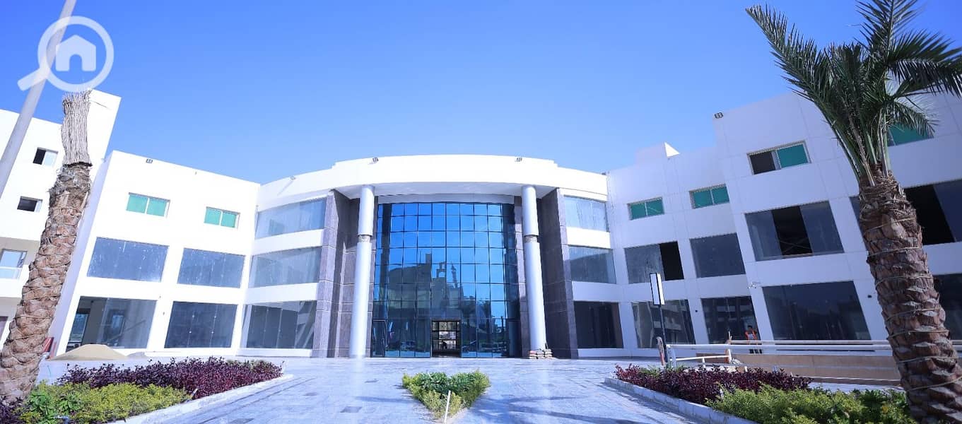 5 WhatsApp Image 2026-01-01 at 4.02. 54 PM (2). jpeg