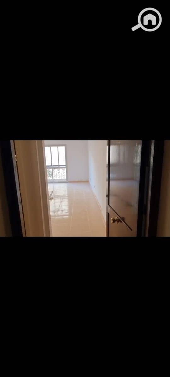 3 66559a97-2706-4d2f-a801-115a21b8384d. jpeg