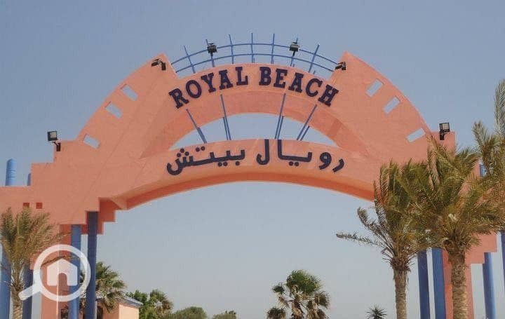 6202910_orig. jpg 6202910_orig. jpg