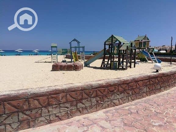 5 00ef9a1b-ab14-4508-bc72-43a5f2ba60ce-1. jpg