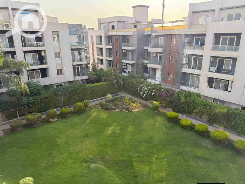 1000310495. jpg 1000310495. jpg