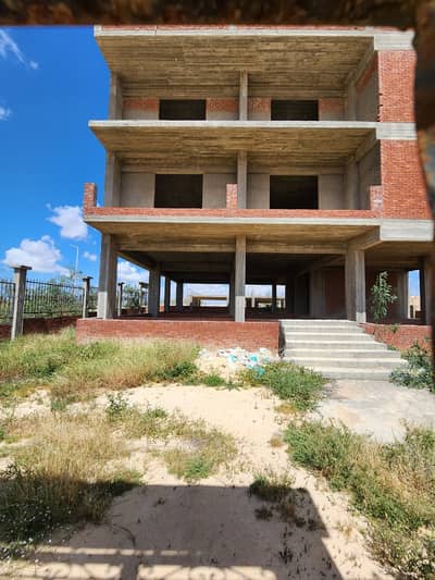 Residential Land for Sale in Borg al-Arab, Alexandria - ارض و مبنى للبيع