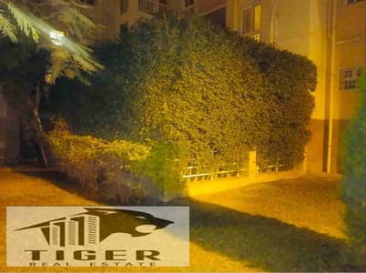 شقة 1 غرفة نوم للبيع في مدينتي، القاهرة - 1002968416. jpg