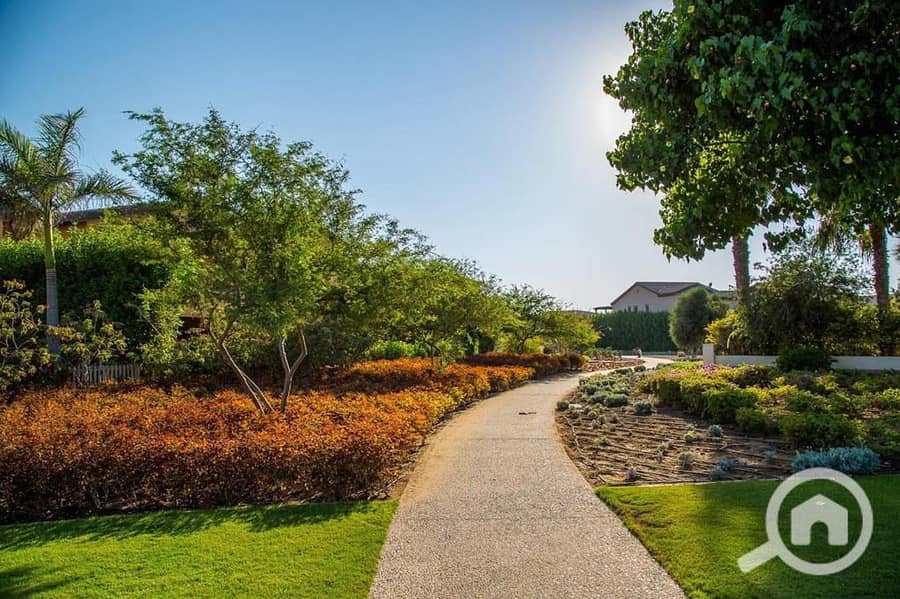 2 WhatsApp Image 2025-09-29 at 15.37. 41_8fbdaffa. jpg