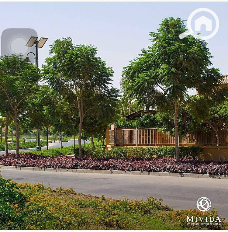 4 WhatsApp Image 2025-09-29 at 15.37. 42_7b1e13d2. jpg