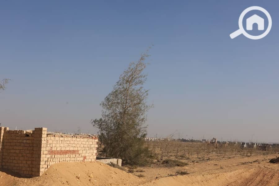 11 WhatsApp Image 2025-12-07 at 13.17. 11_1f8173b4. jpg