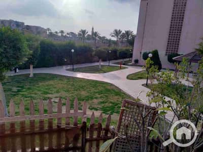 فلیٹ 2 غرفة نوم للايجار في القاهرة الجديدة، القاهرة - 1000420671. jpg