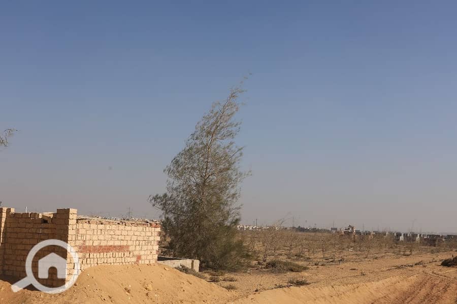 11 WhatsApp Image 2025-12-07 at 13.17. 11_1f8173b4. jpg