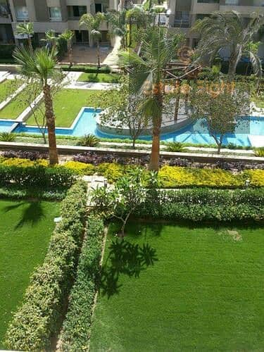 2 medium_IMG-20240623-WA0042. jpg