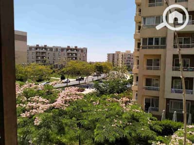 3 Bedroom Flat for Rent in Madinaty, Cairo - 1000619840. jpg 3 Bedroom Flat for Rent in Madinaty, Cairo - 1000619840. jpg