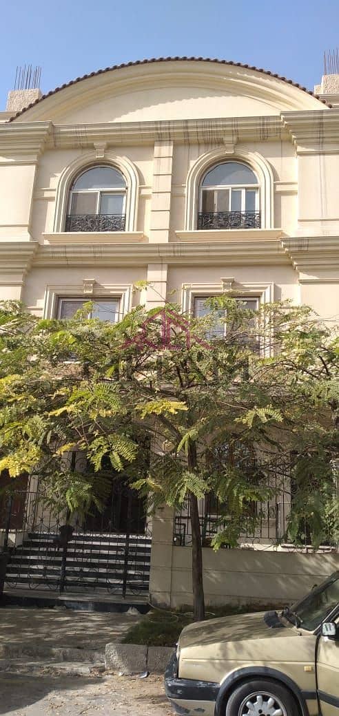 2 5960933330452679586. jpg