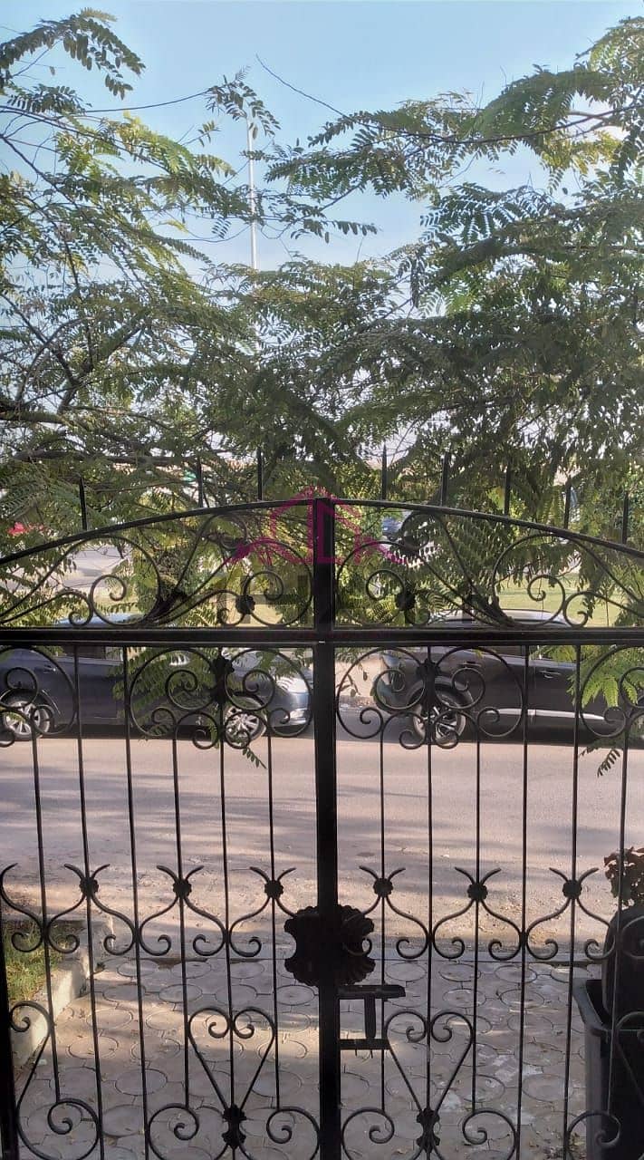 3 5960933330452679589. jpg