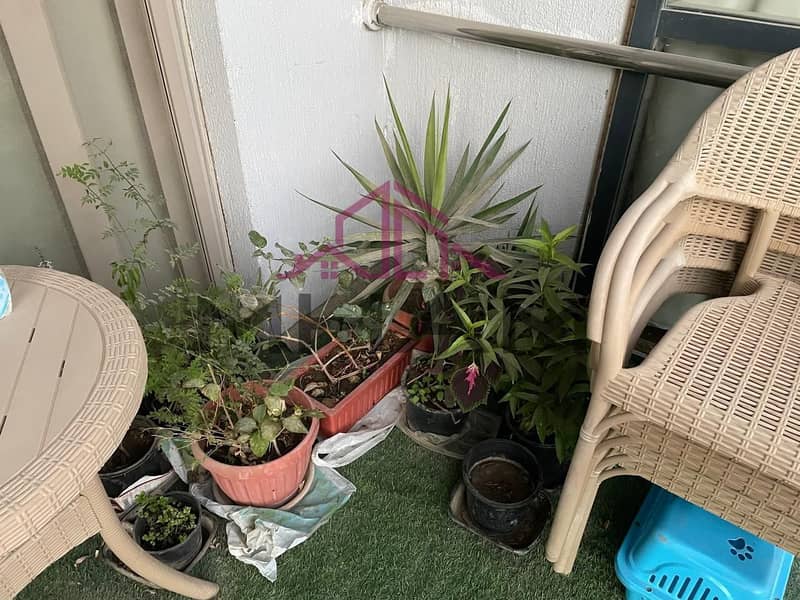 13 5953964359467862844. jpg