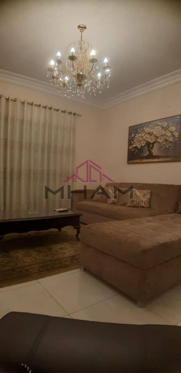 5 5953964359467863081. jpg