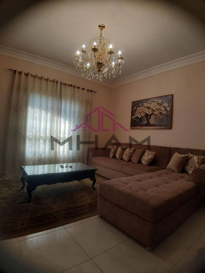 12 5953964359467863069. jpg