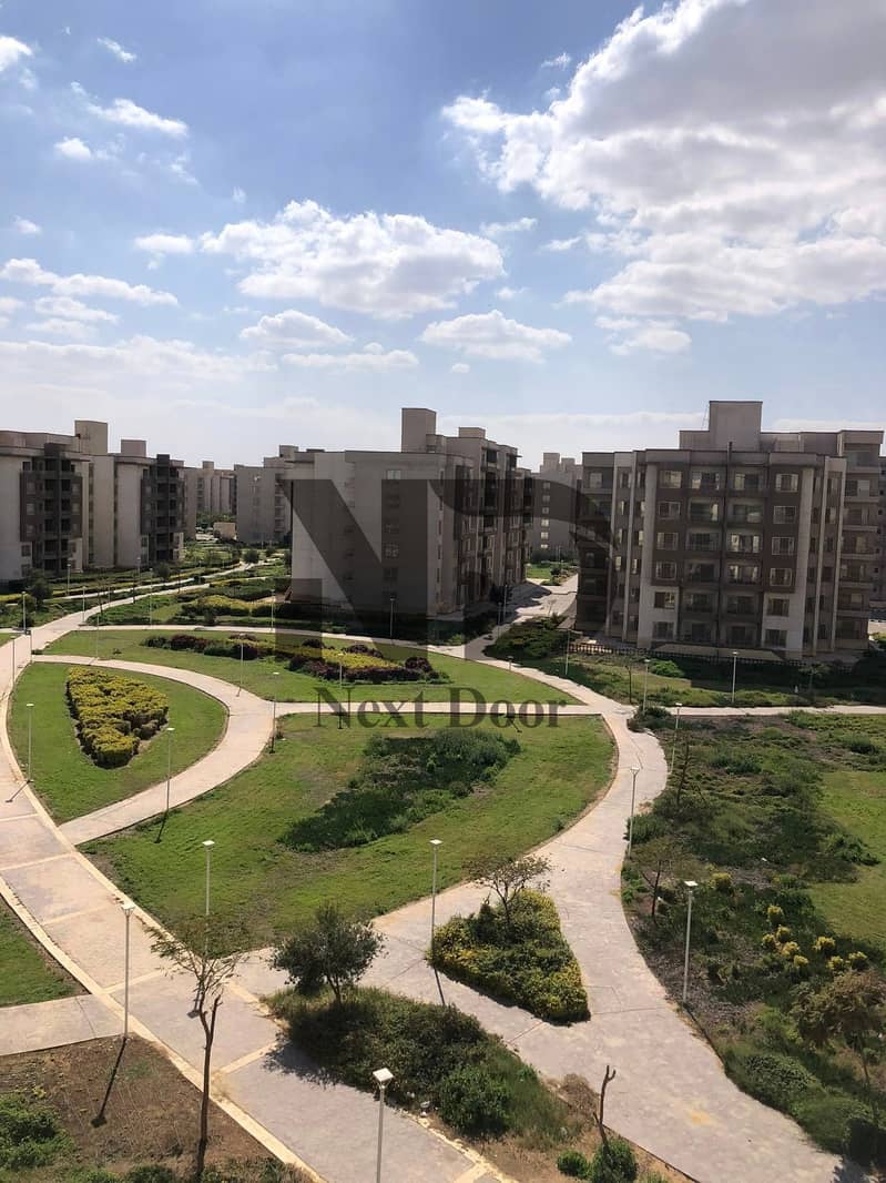 8 560473471_10241006263240792_7557993309682811094_n. jpg