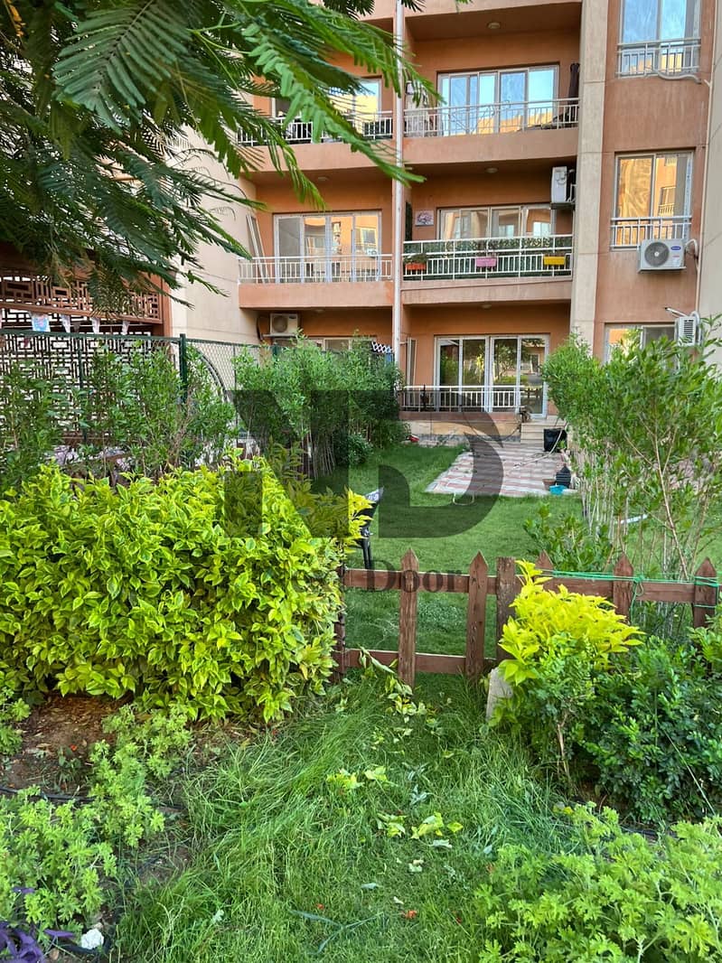 10 b01ab504-5583-4268-83f7-b2aac9c42aca. jpg