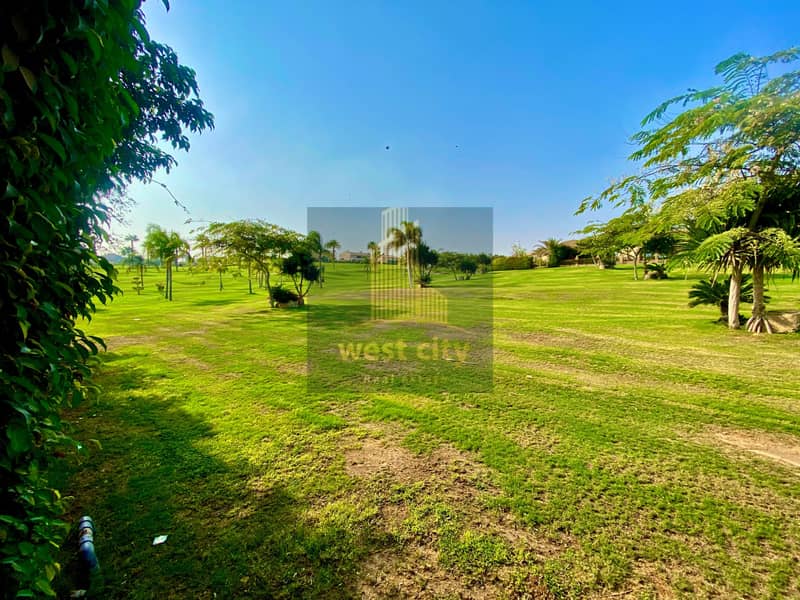 2 motion_photo_2825430323513441937. jpg