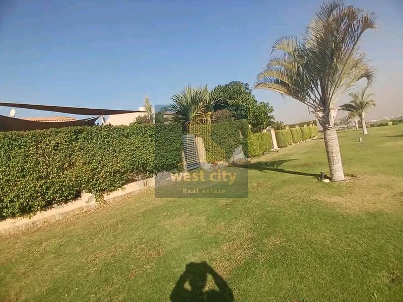 4 1767524619128. jpg