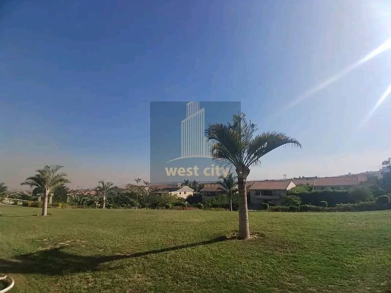 5 1767524621246. jpg