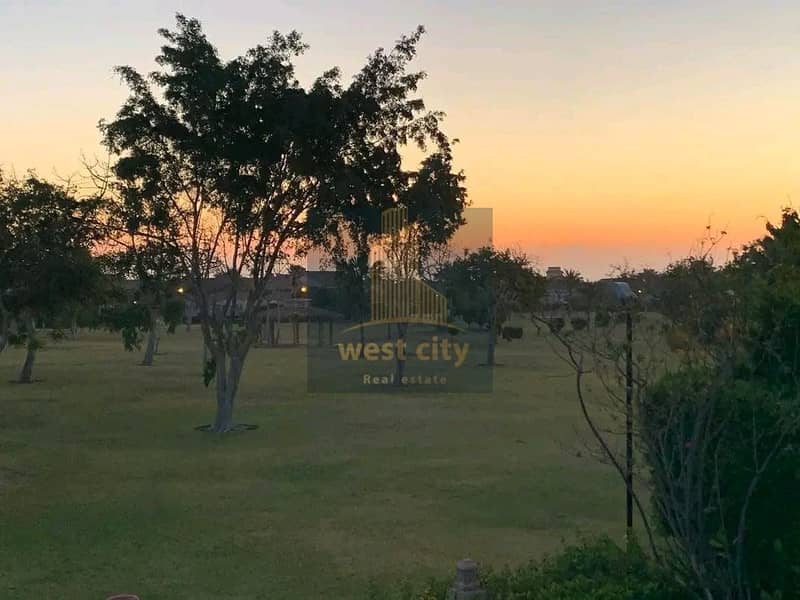 8 1767524644870. jpg