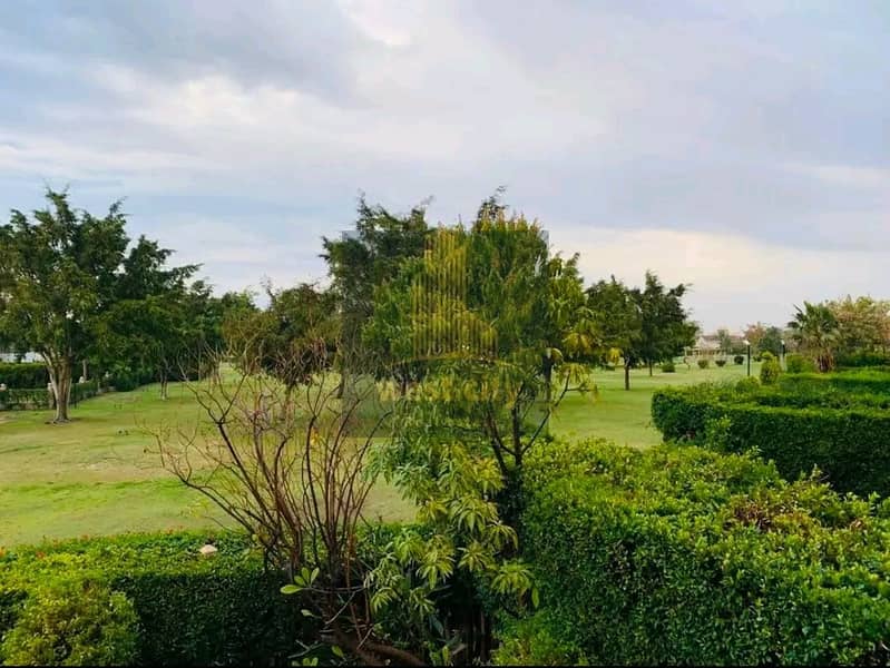 9 1767524666295. jpg