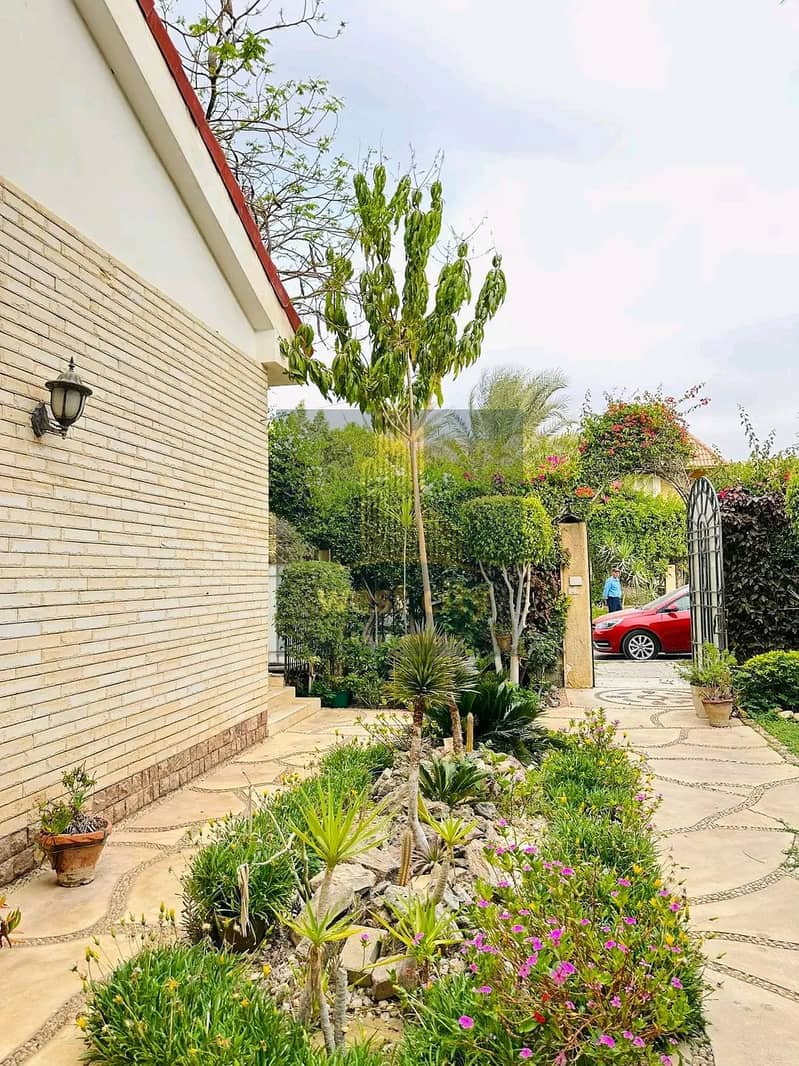 10 1767524676011. jpg