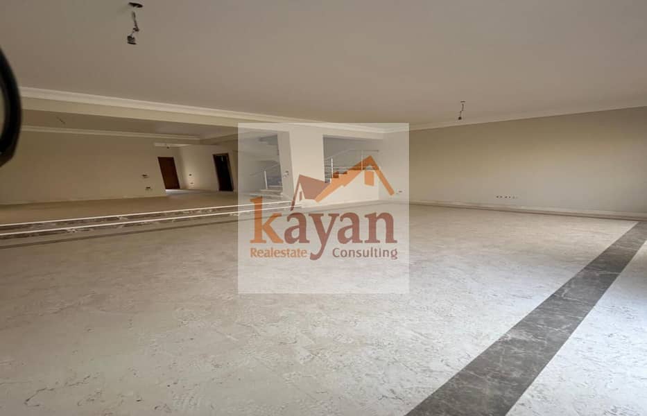 3 706b513a-288c-4235-9823-60088c49a2b2. jpg