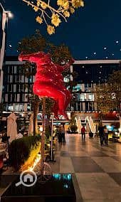 12 WhatsApp Image 2025-12-20 at 12.46. 41 PM. jpeg